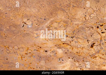 Farbige Beton Wand Textur Detail Stockfoto