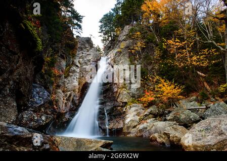 Glenn ellis Wasserfall während des Herbstes in den White Mountains Stockfoto