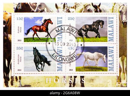 MOSKAU, RUSSLAND - 28. MÄRZ 2020: Vier in Malawi gedruckte Briefmarken zeigen Pferde-Serie, um 2013 Stockfoto