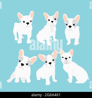 Vektor-Illustrationen Set von niedlichen kleinen französischen Bulldogge in verschiedenen Positionen. Lustige glückliche Welpen. Französische Bulldogge Welpen Sammlung in Cartoon-Wohnung Stock Vektor