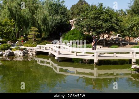 Ein Mann, der den Koi-Teich in den chinesischen Gärten von Huntington Gardens genießt Stockfoto