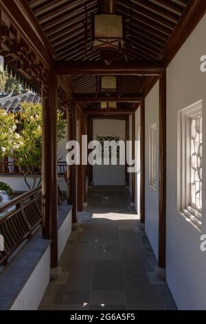 Flur im chinesischen Garten in den Huntington Gardens Stockfoto