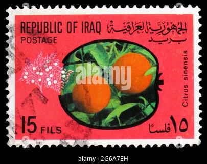 MOSKAU, RUSSLAND - 18. APRIL 2020: Im Irak gedruckte Briefmarke zeigt Orangen, Obstserie, um 1970 Stockfoto