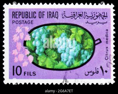 MOSKAU, RUSSLAND - 18. APRIL 2020: Im Irak gedruckte Briefmarke zeigt Trauben, Obstserie, um 1970 Stockfoto
