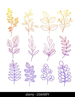 Vektor-Illustration Satz von einfachen Kritzeleien von Blumen und Zweigen mit Blättern in Farbe Linie Stil auf weißem Hintergrund. Stock Vektor