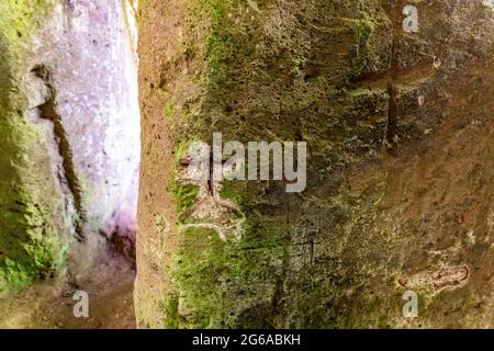 Via Cava in der Region Sovana Etrurian Stockfoto