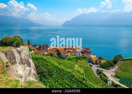 Schöne Aussicht vom Hügel mit terrassierten Weinbergen und Rivaz Dorf am Ufer des Genfer Seeufers, Kanton Waadt, Schweiz, Europa Stockfoto