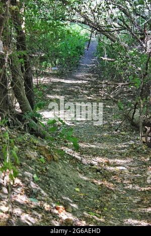 Wanderweg und Wanderweg an einem sonnigen Tag im Park. Stockfoto