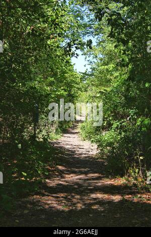 Wanderweg und Wanderweg an einem sonnigen Tag im Park. Stockfoto