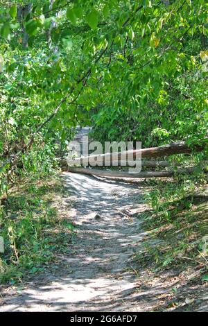 Wanderweg und Wanderweg an einem sonnigen Tag im Park. Stockfoto
