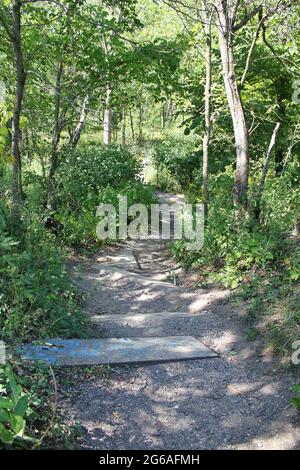 Wanderweg und Wanderweg an einem sonnigen Tag im Park. Stockfoto