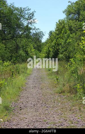 Wanderweg und Wanderweg an einem sonnigen Tag im Park. Stockfoto