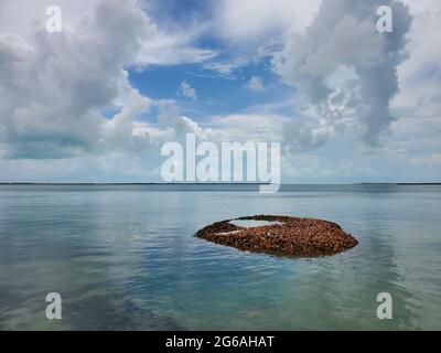 Ausrangierte Muscheln der Königinnenmuschel - Strombus gigas - bilden eine kleine Insel in Nord-Bimini, Bahamas. Stockfoto
