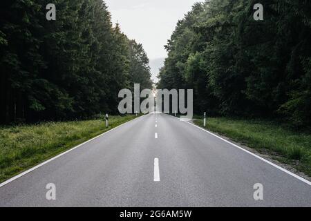 Einsame und leere Straße in einem Wald mit grünen Bäumen auf beiden Seiten der Straße in Bayern, Deutschland Stockfoto