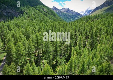 Blick von der Spitze des Rhemes Notre Dame Tals im Aostatal, Italien. Stockfoto