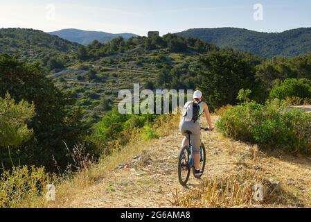 Eine Radfahrerin fährt an einem sonnigen Sommertag auf einem Bergweg mit ihrem Mountainbike. Stockfoto