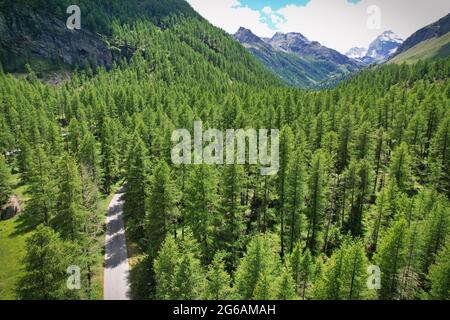 Blick von der Spitze des Rhemes Notre Dame Tals im Aostatal, Italien. Stockfoto