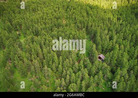 Eine einsame Berghütte im Wald von oben gesehen Stockfoto