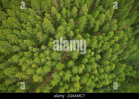 Blick von der Spitze des Rhemes Notre Dame Tals im Aostatal, Italien. Stockfoto