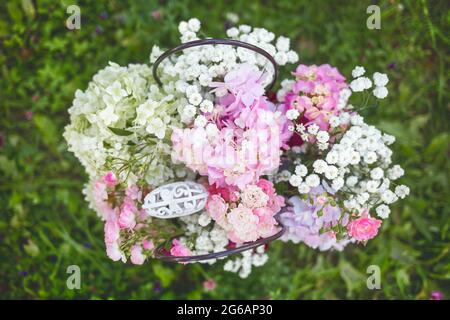 Blühende weiße und rosafarbene Floxblüten auf einem natürlichen Hintergrund im Freien. Stockfoto