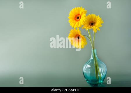 Bouquet von gelben Gänseblümchen-Gerbera Blumen in einer stilvollen Glasvase auf gedämpftem grünem Hintergrund. Blumenhintergrund mit Kopierbereich Stockfoto