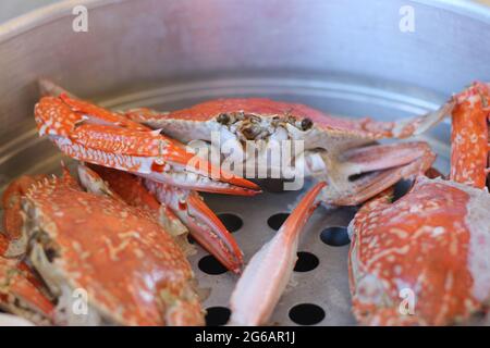 Gedünstete Krebse konzentrieren sich auf ihre großen Krallen. Crab ist ein beliebter Fisch und Meeresfrüchte, der gedünstet und zu essen gekocht wird. Stockfoto