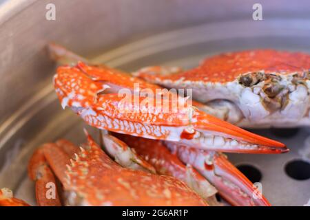 Gedünstete Krebse konzentrieren sich auf ihre großen Krallen. Crab ist ein beliebter Fisch und Meeresfrüchte, der gedünstet und zu essen gekocht wird. Stockfoto