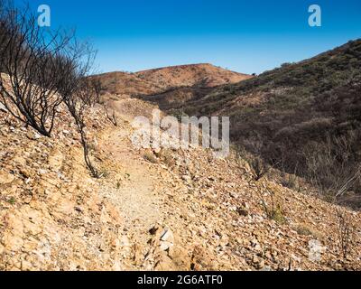 Larapinta Trail Abschnitt 9 über verbranntes Gelände in Richtung Inarlanga Pass, Heavitree Range, Tjoritja / West MacDonnell National Park Stockfoto