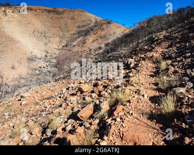 Larapinta Trail Abschnitt 9 über verbranntes Gelände in Richtung Inarlanga Pass, Heavitree Range, Tjoritja / West MacDonnell National Park Stockfoto