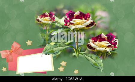 Textrahmen auf einem grünen unfokussierten Hintergrund mit blühenden Rosen Stockfoto