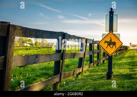 Pferdekreuzung Straßenschild an einer Pferdefarm in Central Kentucky Stockfoto