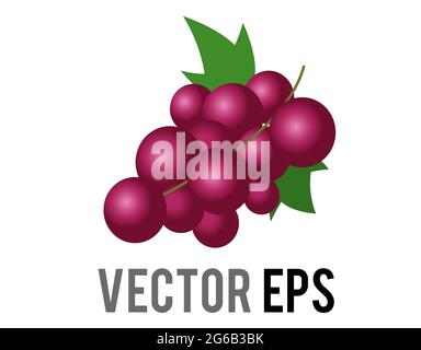 Der isolierte Vektor Frucht Gradient lila Traubenbündel Symbol, wie aus der Rebe geschnitten und verwendet, um Wein zu machen Stock Vektor