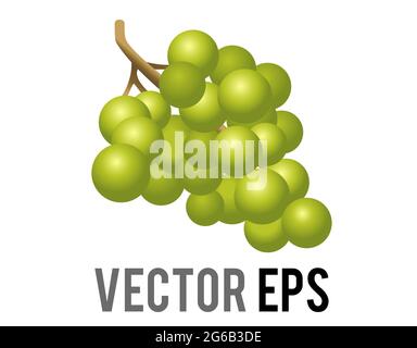 Die isolierte Vektor-Frucht Gradient grünen Traubenhaufen Symbol, wie aus der Rebe geschnitten und verwendet, um Wein zu machen Stock Vektor