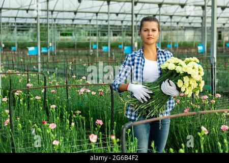 Frau Gärtner mit Blumenstrauß aus den weißen Nelken in Orangerie Stockfoto