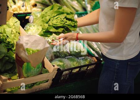 Eine junge Frau mit schönen, gepflegten Händen packt die Arme voller Salat, die in der Grünabteilung stehen. Bio-Lebensmittel und Vitamine. Richtige Ernährung Stockfoto