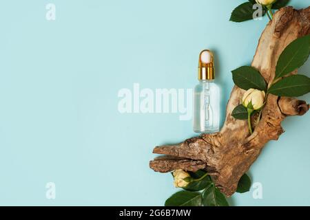 Serum, Öl, Säure, Lotion in Tropfferglas und Baumrindenblüten, Blätter auf blauem Hintergrund, Kopierraum. Zusammensetzung der Spa-Produkte. Bio, bio, natürlich Stockfoto