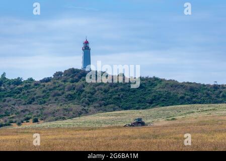 Hiddensee, Deutschland. Juni 2021. Ein Traktor mäht ein Feld auf der Insel Hiddensee. Dahinter sieht man den Leuchtturm am Dornbusch. Die Einheimischen nennen ihre Insel auch liebevoll 'Dat söte Länneken' (das süße kleine Land). Quelle: Stephan Schulz/dpa-Zentralbild/ZB/dpa/Alamy Live News Stockfoto