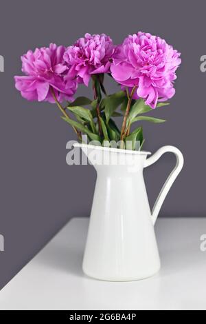 Bouquet von rosa chinesischen Pfingstrosen Blumen in weißer Vase vor grauem Hintergrund Stockfoto