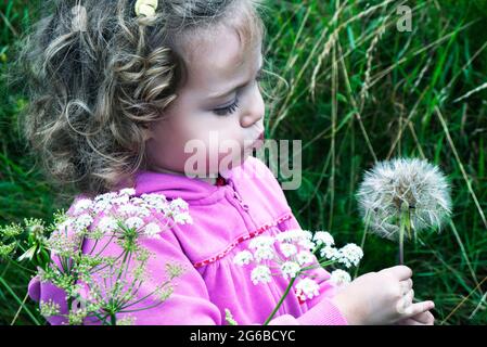 Mädchen, das auf einer Wiese steht und eine Uhr mit einem Dandelion bläst, Polen Stockfoto