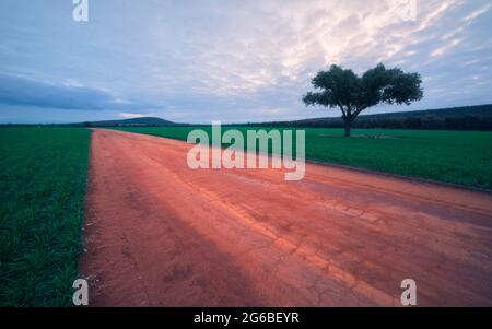 Unbefestigte Straße durch ländliche Landschaft, Australien Stockfoto