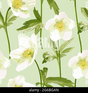 Anemone canadensis. Nahtloses Muster mit weißen Anemonblüten in Pastelltönen. Zarte weiße Wildblumen. Vektorgrafik Botanischer Bestand. Stock Vektor
