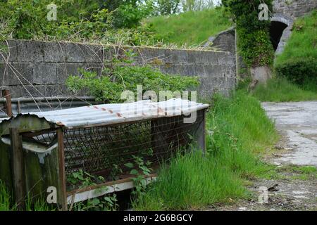 Überwuchert verlassene Futtertrog mit Blick auf eine Eisenbahnbrücke Stockfoto