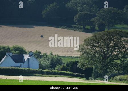 Ein Ballen eingewickeltes Heu auf einem großen Feld mit einem Bauernhaus und einem Baum. Stockfoto