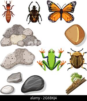 Verschiedene Arten von Insekten mit Naturelementen Illustration Stock Vektor