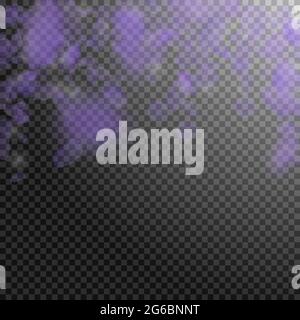 Violette Blütenblätter fallen herunter. Kraftvolle romantische Blumen fallen Regen. Fliegendes Blütenblatt auf transparentem quadratischem Hintergrund. Liebe, Romantik Konzept. Authe Stock Vektor
