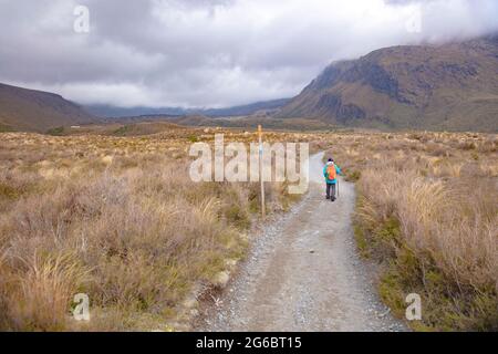 Startpfad zum Tongariro Alpine Crossing vom Mangatepopo Road Point, Neuseeland Stockfoto