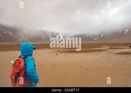 Blick auf den Südkrater entlang des Tongariro Alpine Crossings. Aufgenommen am 7. Dezember 2019 im Tongariro National Park, Neuseeland Stockfoto