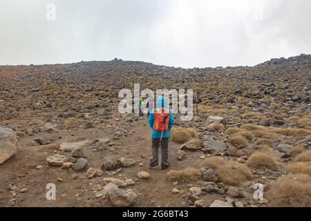 Blick auf den Südkrater entlang des Tongariro Alpine Crossings. Aufgenommen am 7. Dezember 2019 im Tongariro National Park, Neuseeland Stockfoto