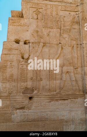 Schöne ägyptische Hieroglyphen und Gravuren an den Wänden des Kom Ombo Temple, Ägypten Stockfoto