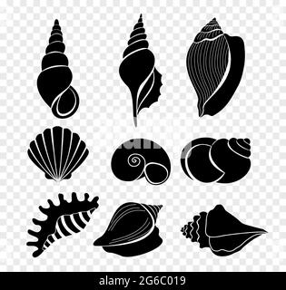 Vektor-Illustration Set von Muschelschalen Silhouetten isoliert auf transparentem Hintergrund. Stock Vektor